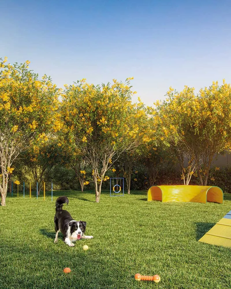 Pet place — Dream View Sky Resort